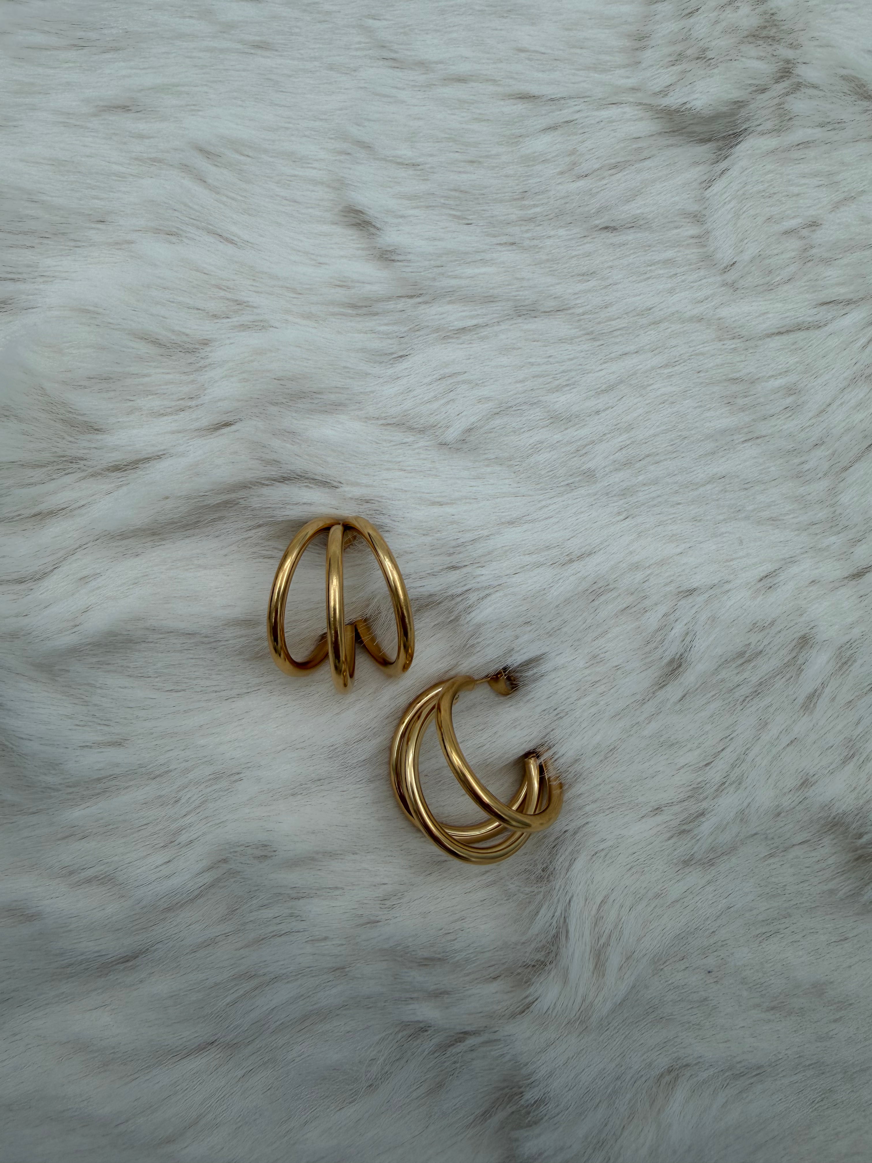 Double Hoop Earring